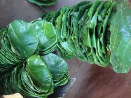 दुना Duna