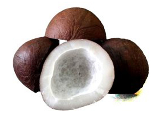 नरिवल nariwal