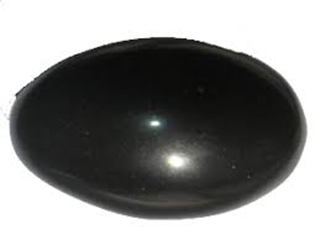 सालिग्राम् Saligram