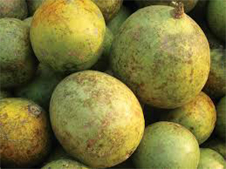 बेलदाना BelKodana