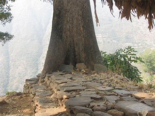 पाखरी pakhari