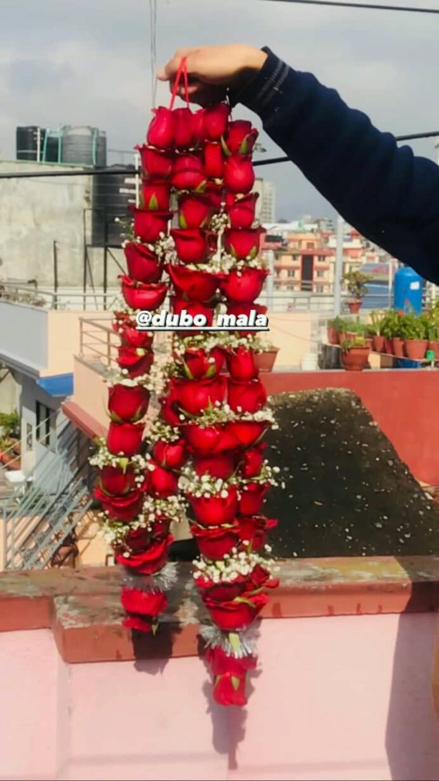 Gulab Mala गुलाब माला