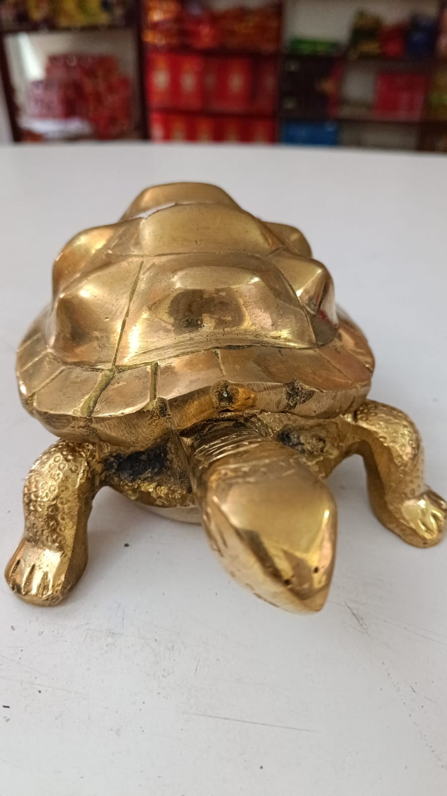 Kachhuwa कछुवा