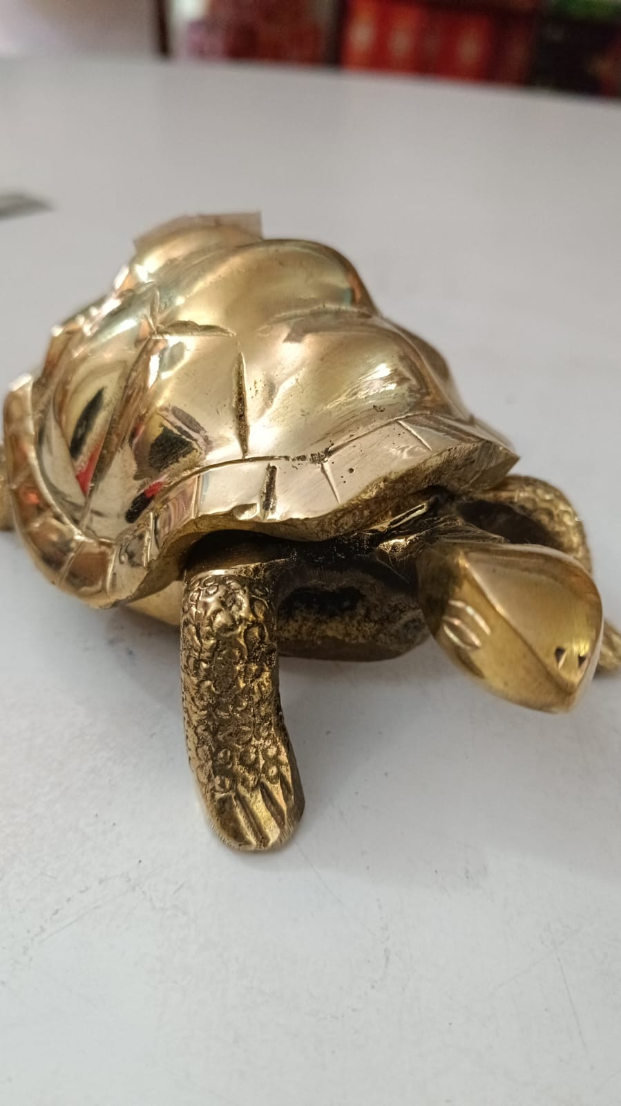 Kachhuwa कछुवा