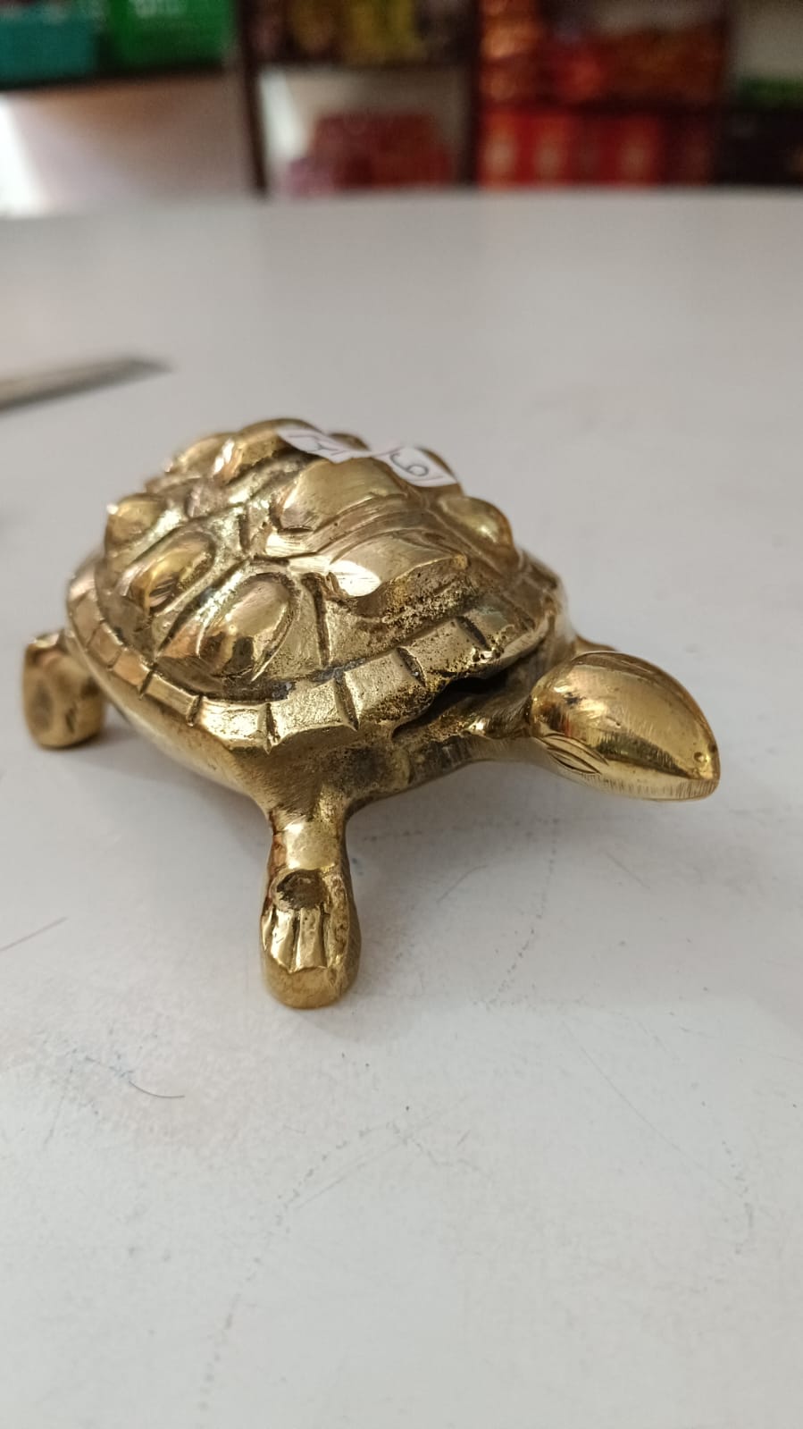 Kachhuwa कछुवा