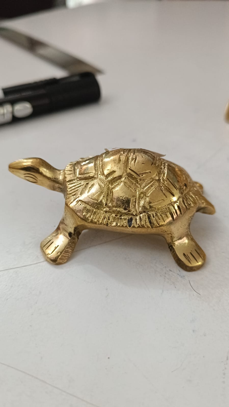 Kachhuwa कछुवा