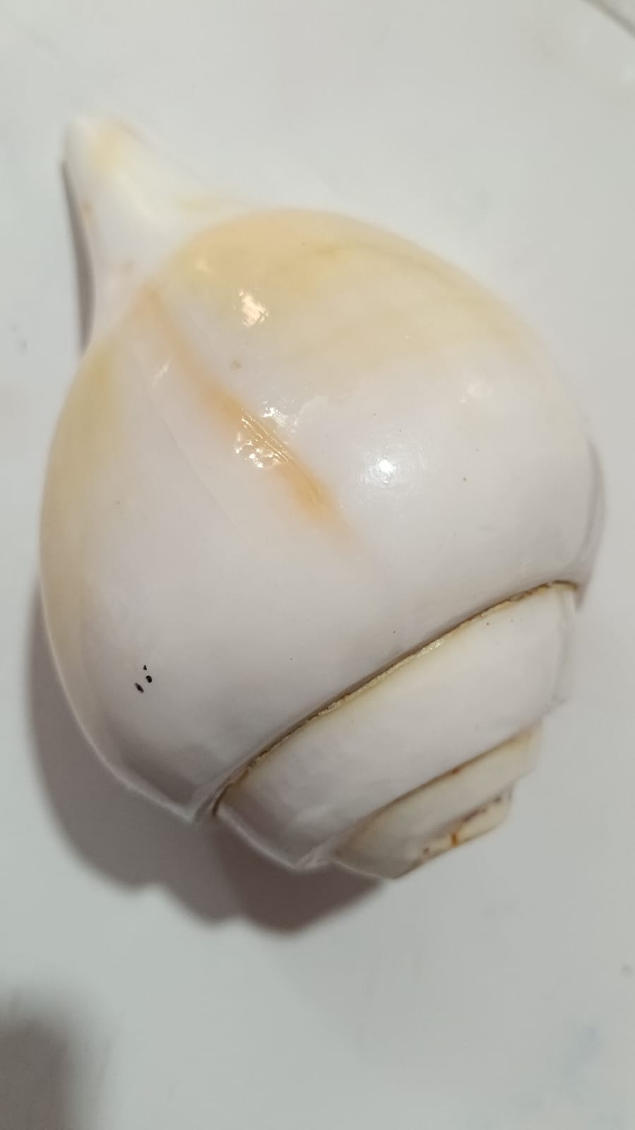 Sankha Bajne Ramro Best शंख