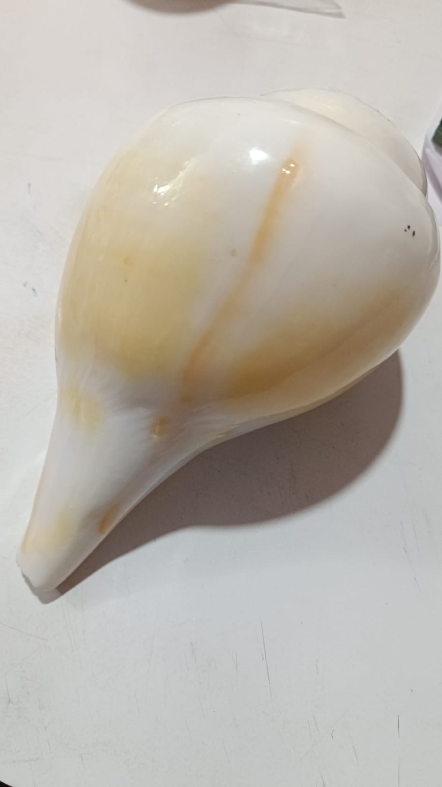 Sankha Bajne Ramro Best शंख