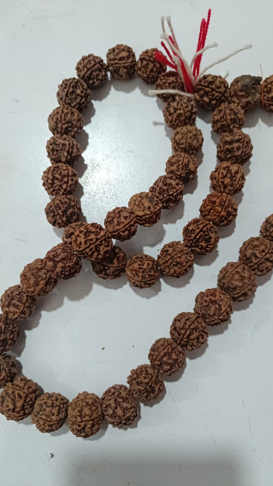 Rudraksha Rudrakxya Mala रुद्राक्ष