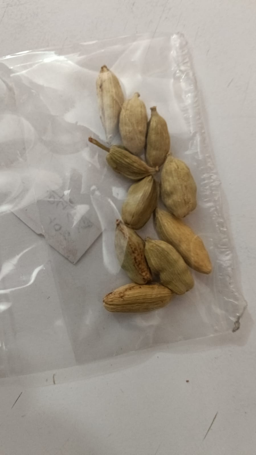 Sukmel  सुक्मेल