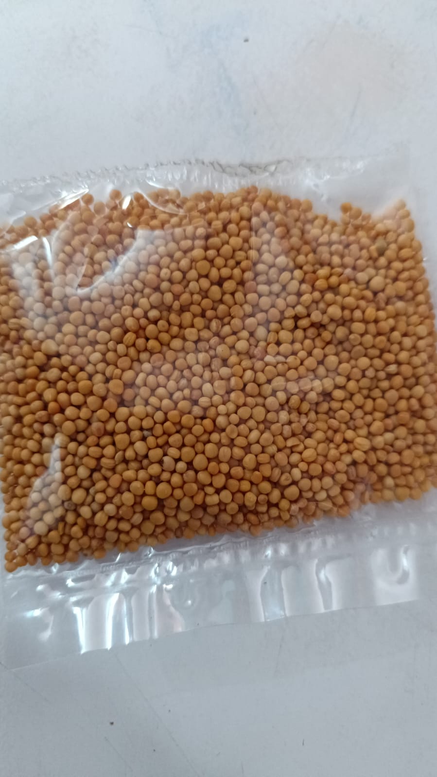 Sarsiu सर्सिउ