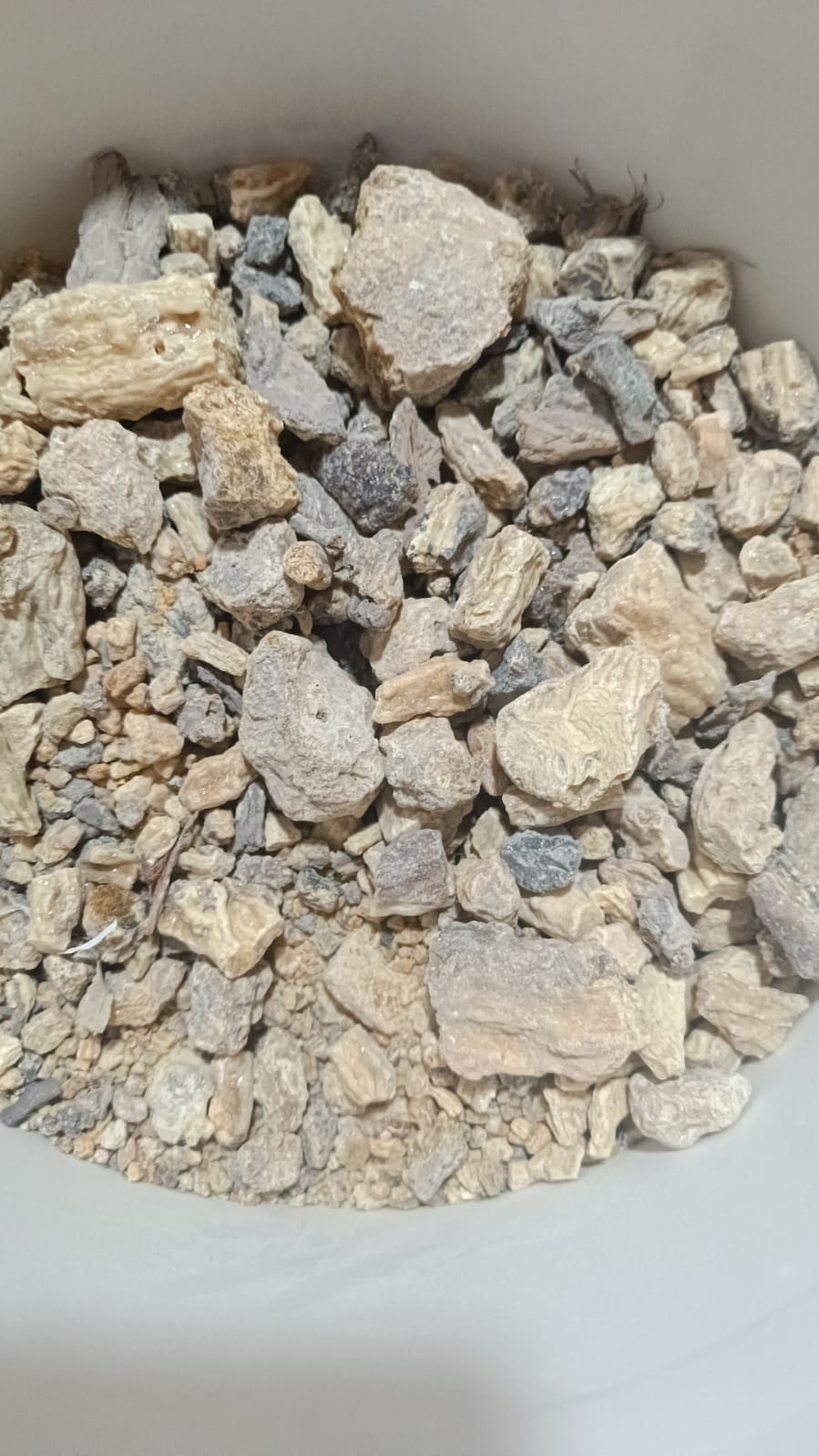 sal dhup Best Dhup Hawan Dhup Puja Items 1kg