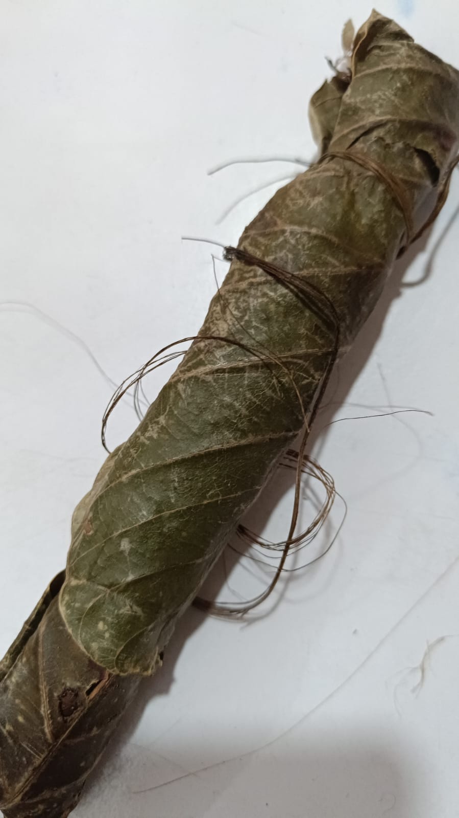 पञ्चपल्लव Panchapallav