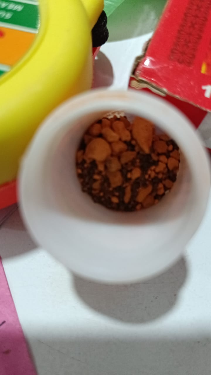 गोरोचन /गौलोचन  Gorochan/goulochan