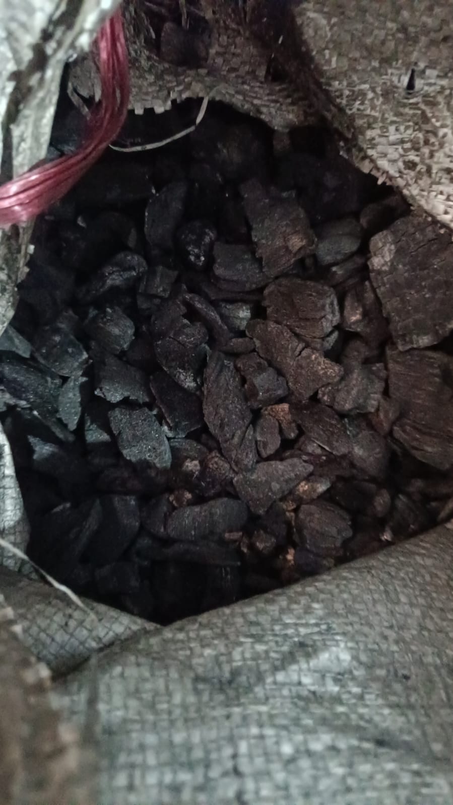 कोइला Koila