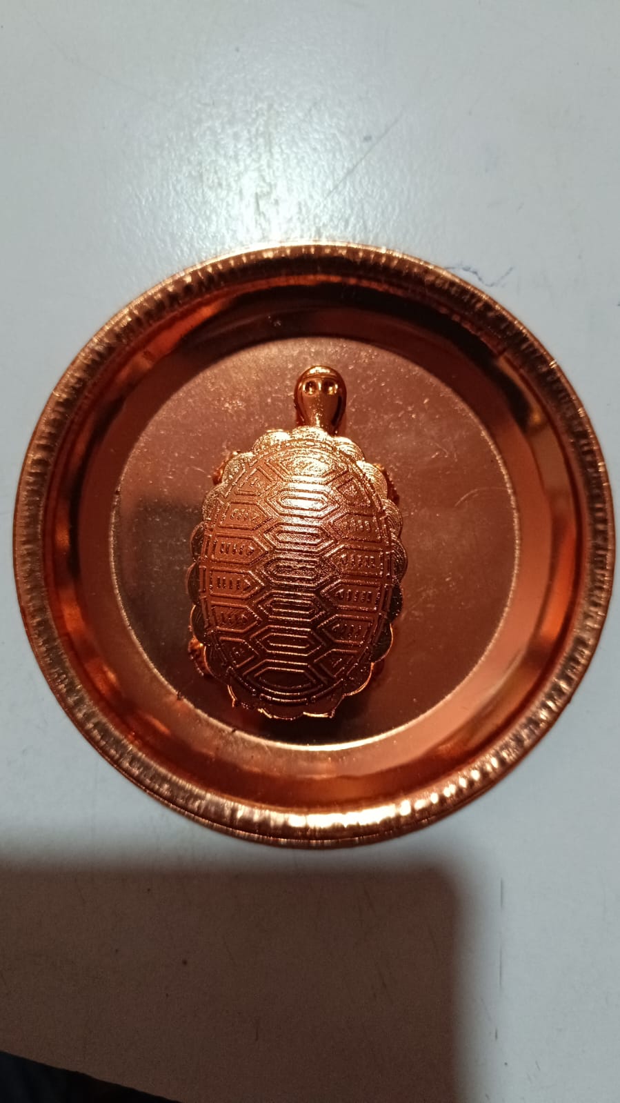 Kachhuwa कछुवा kachuwa