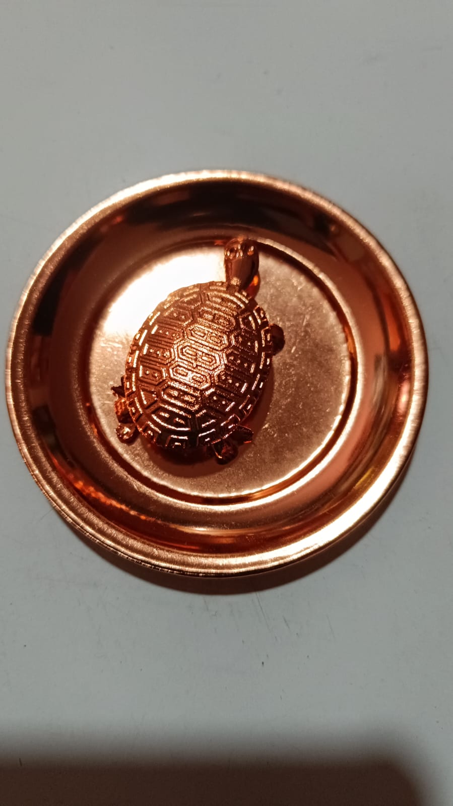 Kachhuwa कछुवा kachuwa