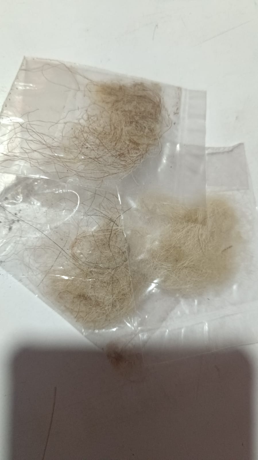 Una ऊन Wool