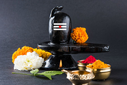 लघु रुद्री पुजा Rudri Puja Small