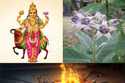 अर्क विवाह Arkha Vivha-Large Package